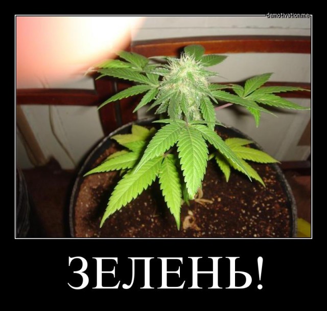 Когда кто-то плюсует твой заминусованый пост
