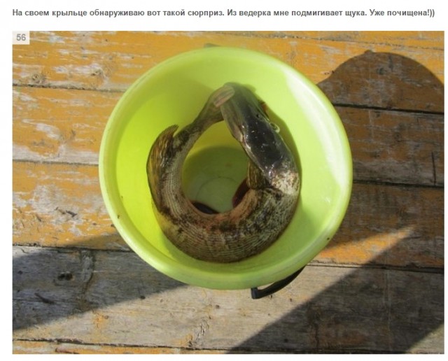Один день фельдшера в далекой северной деревне.