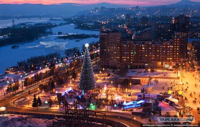 Елочная фаллометрия