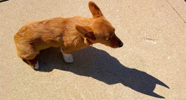 Как прекрасен и трагичен этот мир, ч.7