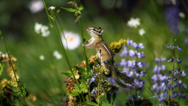 Подборка красивых картинок