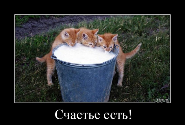 Картинки из сети (07.04.16)