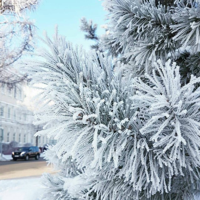Фотки всякие разные...