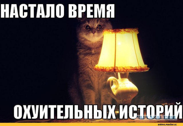 Новый Таллин