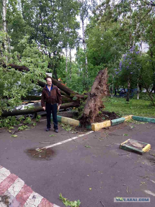 В Москве ураган!