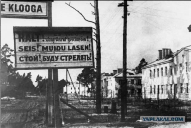В эстонских, европейских лагерях. 1941-44 г.