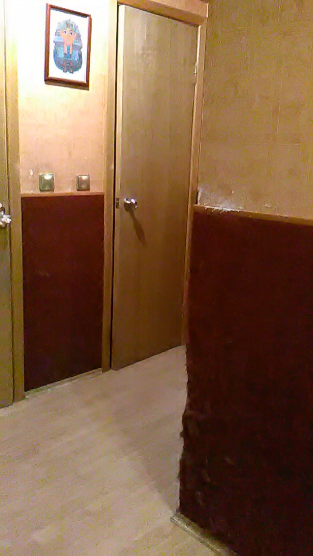 Котовторник
