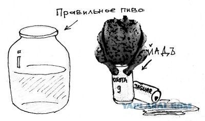 Голуби