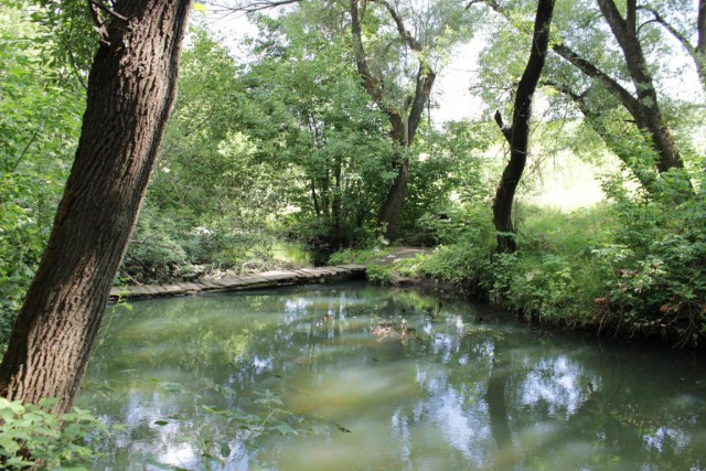 Верховажская пенсионерка ходит за хлебом вброд по ледяной воде