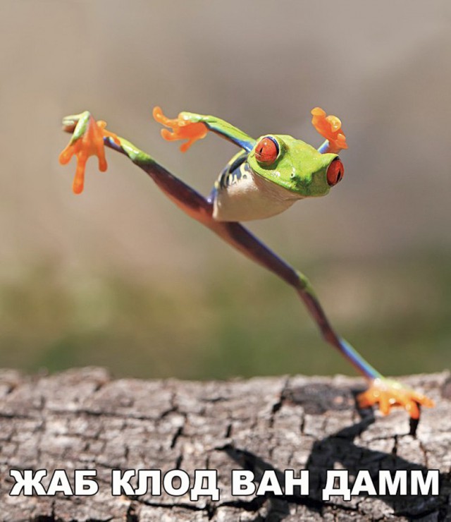 Нестандартный юмор