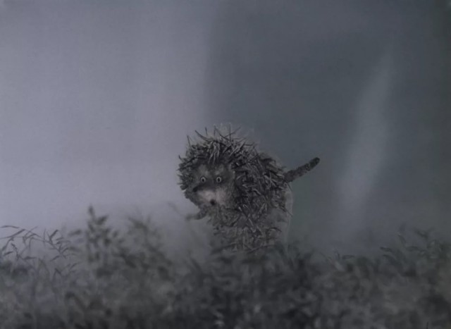 Нужны ли нам противотуманки? Разбираем вопрос подробно