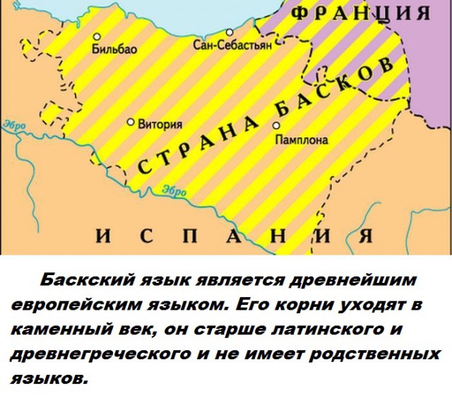 Подборка бесполезных фактов