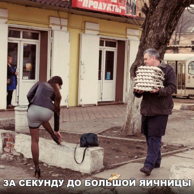 Лента прикольных картинок