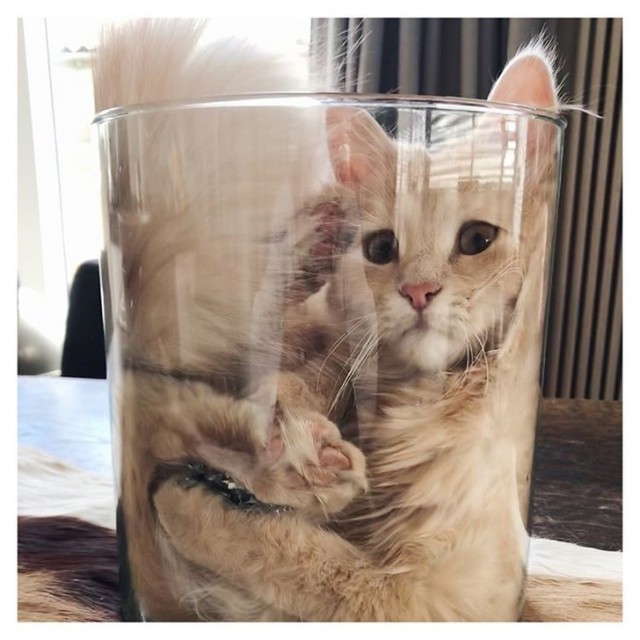 Немного милоты
