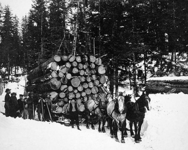 Фальшивая история человечества. Старинные фотографии