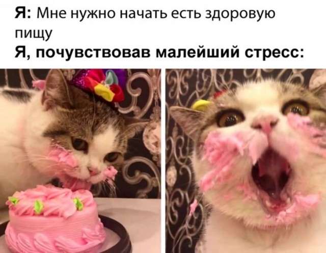 Немного картинок для настроения 11.11.19