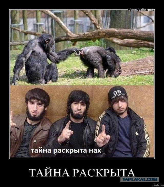 Стычка один на один переросла в массовую драку в медколледже Махачкалы