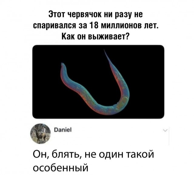 Бредзона (без кудябликов)