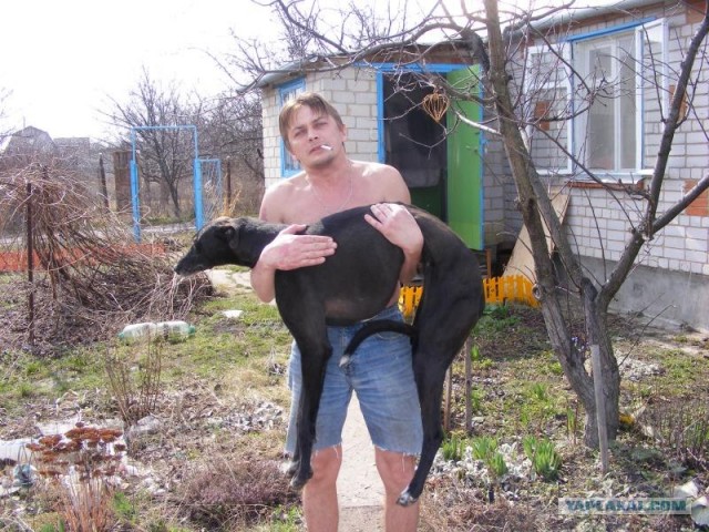 Маленькая девочка не дала в обиду своего кота