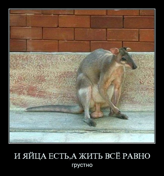 Воскресные картинки