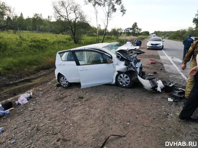 Пять человек погибли в автокатастрофе на трассе Хабаровск - Владивосток