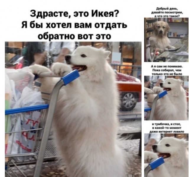 Кретинизмы из сети 04.09.21
