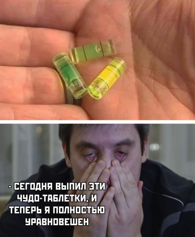 Весёлый полтишок 24.12