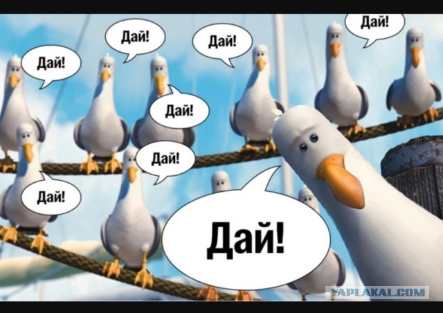 Дайте грошей!