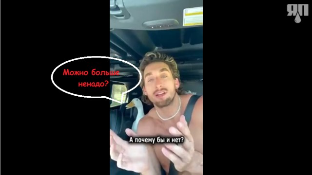 Идеальный брат