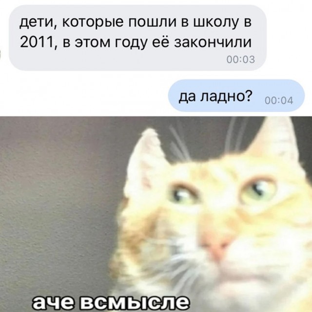 Весёлый полтишок 03.06.22