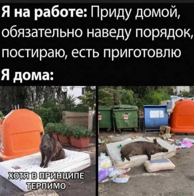 50 оттенков серого. Vol.15 Или самосвал баянов