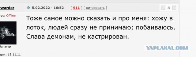 кошка Муся  ищет дом в Москве