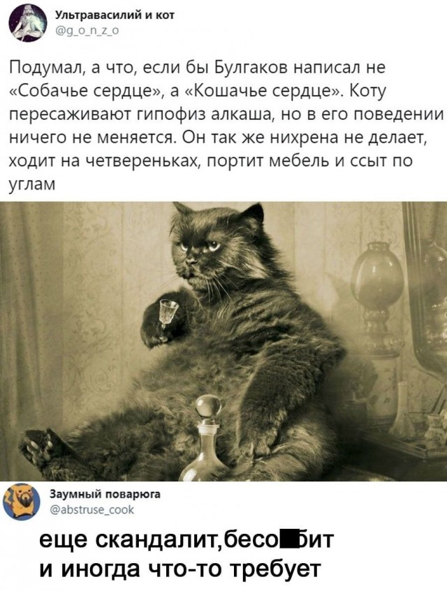 Картинки всякие, развесёлые и не очень.