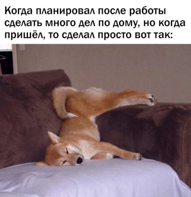 Картинки и мемы. Выходные близко...