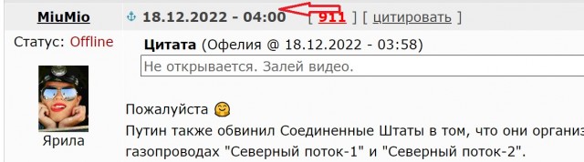 Котики и собачки, СВО и утя