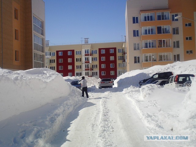 Весна на Камчатке