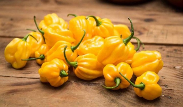 Наконец-то попробовал Carolina Reaper...