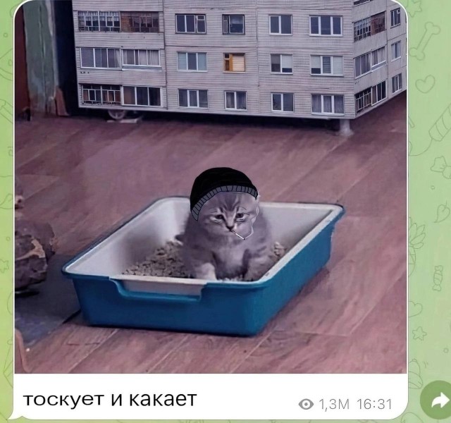 Всего понемногу 24.05