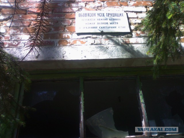 Просто смотреть