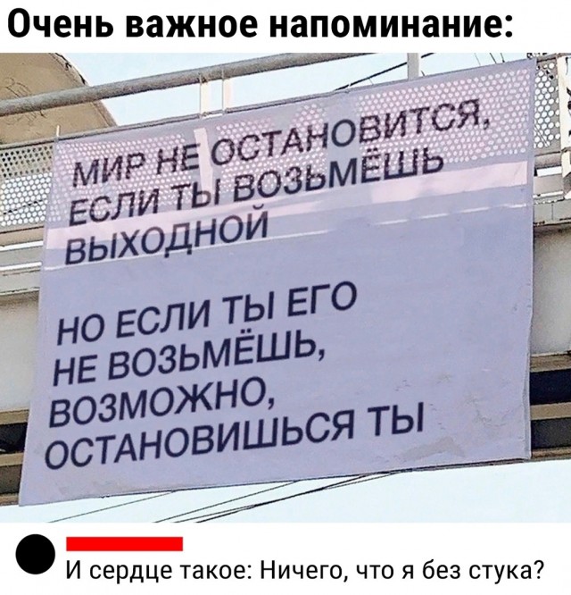 Так себе картинки 15.12.23