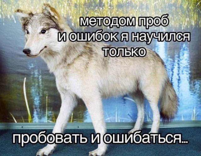 Веселые картинки к понедельнику (29.07)