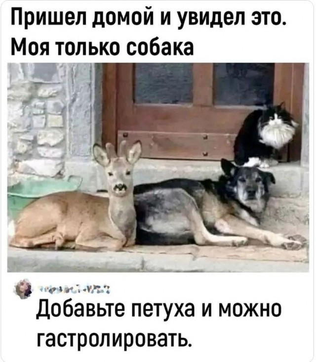 Завалялось тут случайно немного забавных картинок