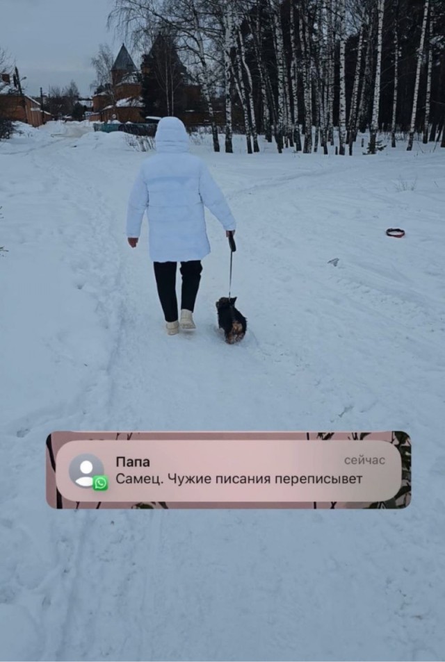 Чел подарил бате собакена и тот начал скидывать сыну истории обо всех их совместных приключениях