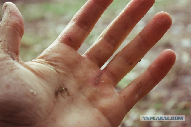 В дали от городской суеты