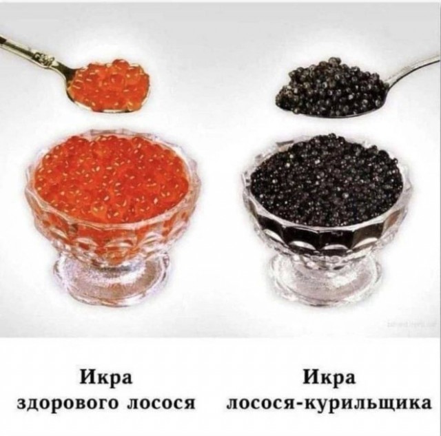 Так себе картинки 15.03.25