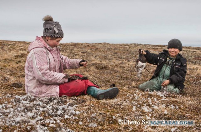 Красота! Лето на Ямале. Фото