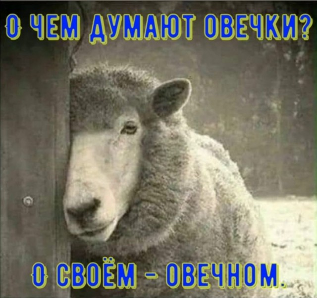 Картинки для деградации 26 (разной степени свежести)