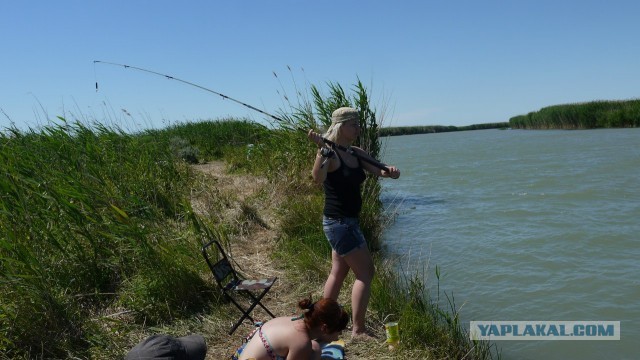 Тил-тили...трали-вали