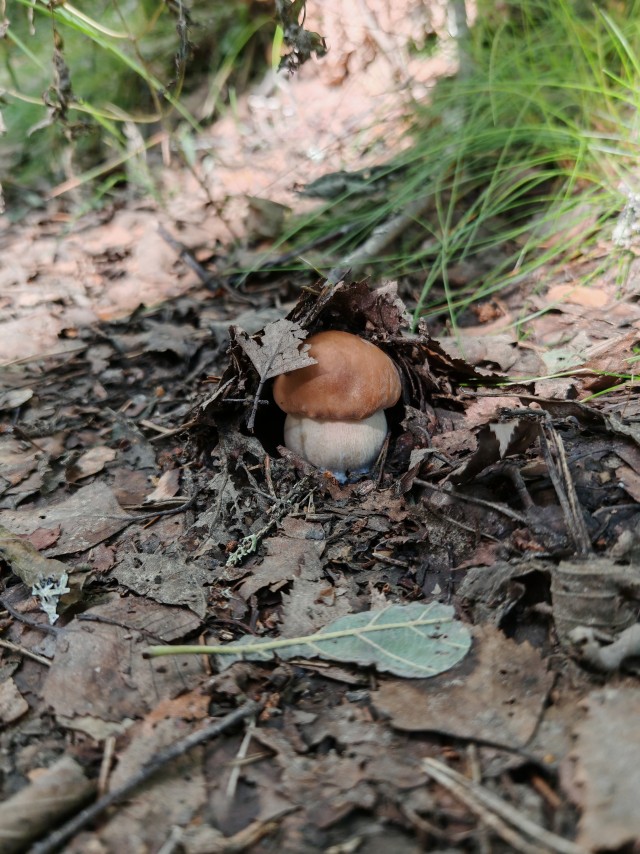 Пробежался часик.