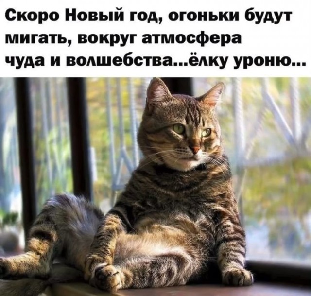 Прикольные и просто красивые картинки 18.11.2025